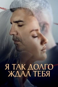 Я так долго ждал тебя - постер